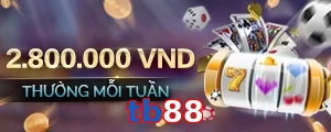 tb88